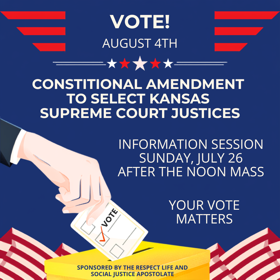 Constitutional Amendment Information Session
