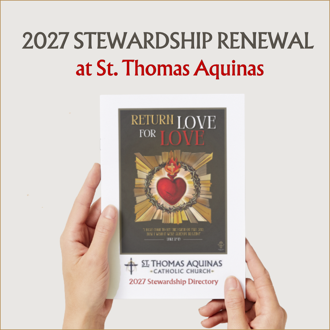 Stewardship Renewal 2027