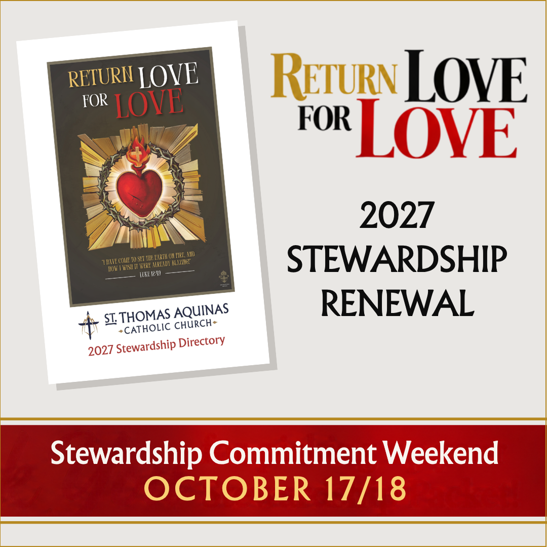 Stewardship Renewal 2027